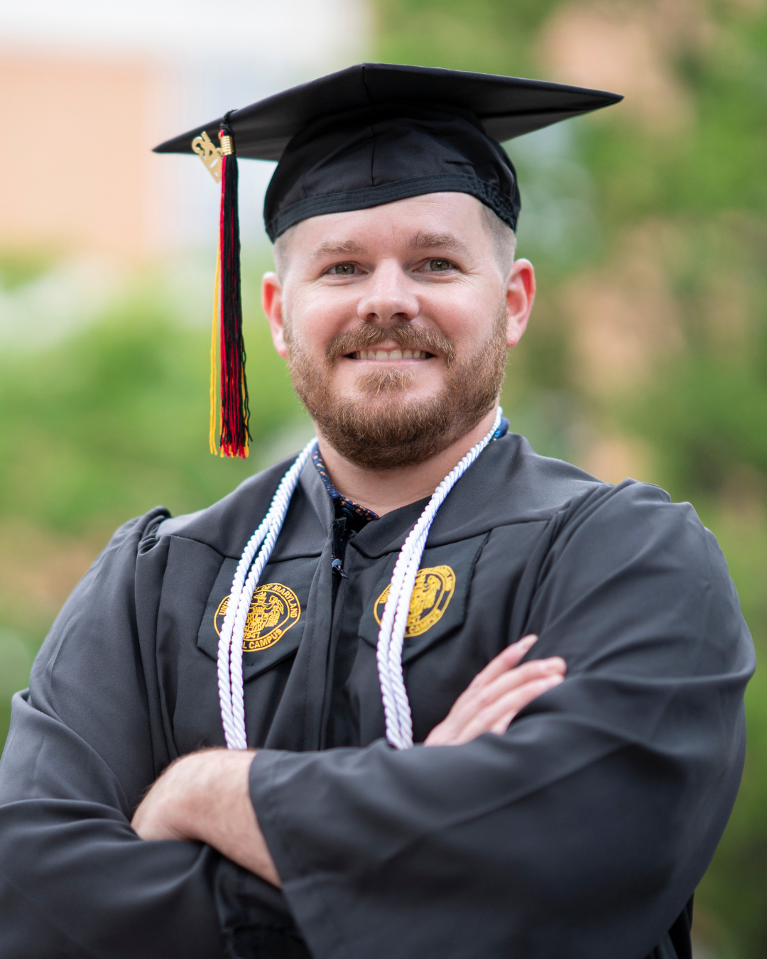 Jan FY26 SITE Mosaic Image 2 1768x736 - 1