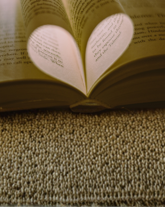 Feb FY26 SITE Carousel Book Club 1768x736 - 1