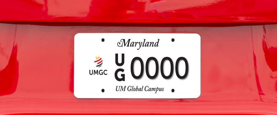 License Plate 884x368 - 1